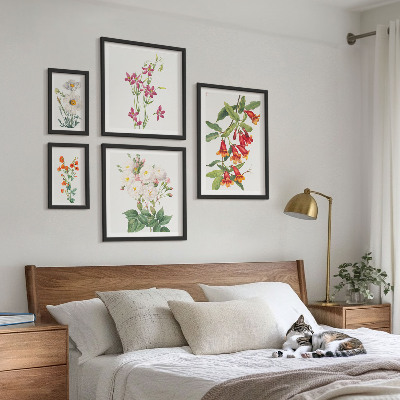 Bilderset fürs sofa Florale botanische Motive