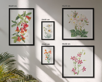 Bilderset fürs sofa Florale botanische Motive