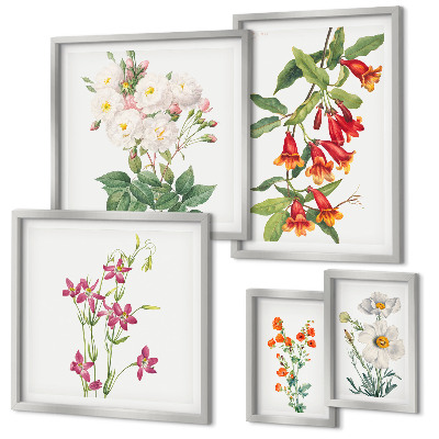 Bilderset fürs sofa Florale botanische Motive