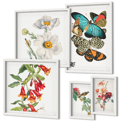 Bildergalerie-set für die wand Blumen, Schmetterlinge, Vögel, Vintage-Dekorationen