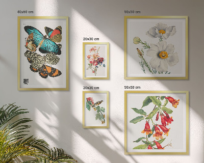Bildergalerie-set für die wand Blumen, Schmetterlinge, Vögel, Vintage-Dekorationen