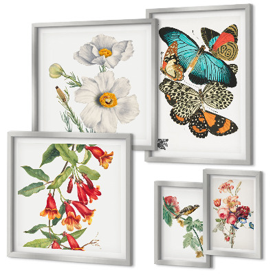 Bildergalerie-set für die wand Blumen, Schmetterlinge, Vögel, Vintage-Dekorationen