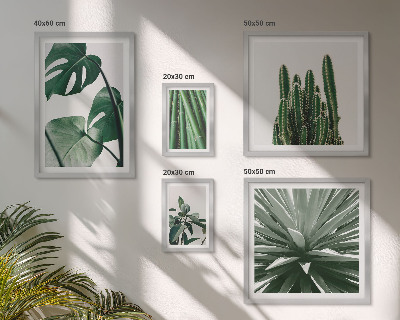 Modernes wandbilder-set Grüne tropische Zimmerpflanzen