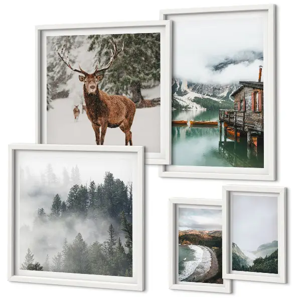 Modernes Wandbilder-Set mit Motiven aus Natur, Tierwelt und Bergen