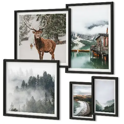 Modernes Wandbilder-Set mit Motiven aus Natur, Tierwelt und Bergen