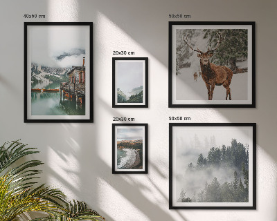 Modernes wandbilder-set Natur, Tierwelt, Berge