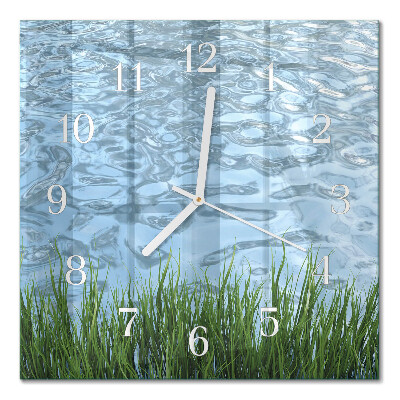 Quadratische wanduhr Graswasser