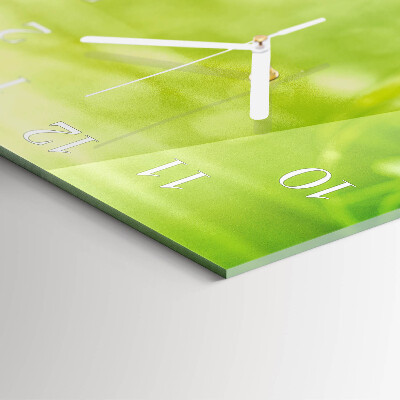 Quadratische wanduhr modern Gras