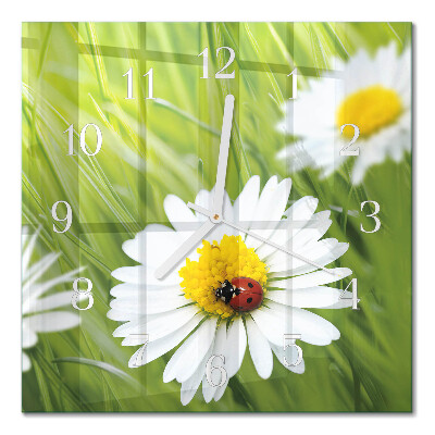 Moderne wanduhr quadratisch Gänseblümchen