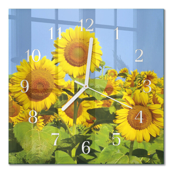 Quadratische wanduhr modern Sonnenblumen