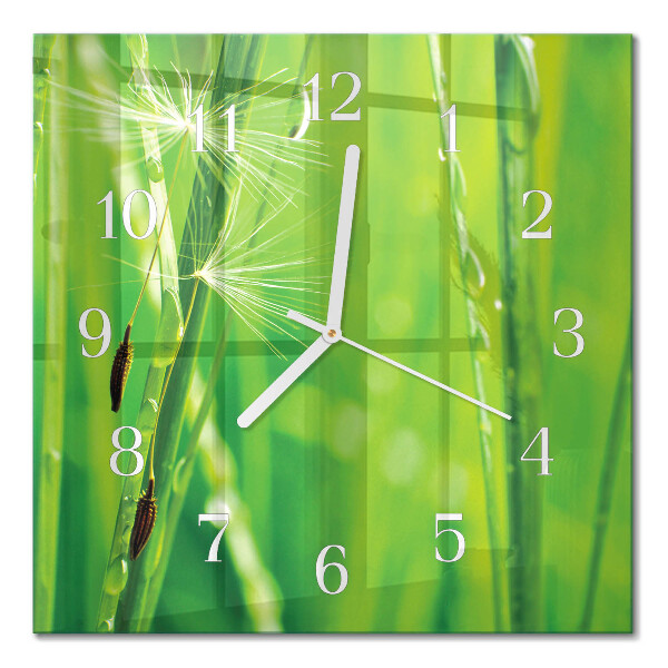 Wanduhr mit motiv quadratisch Gras