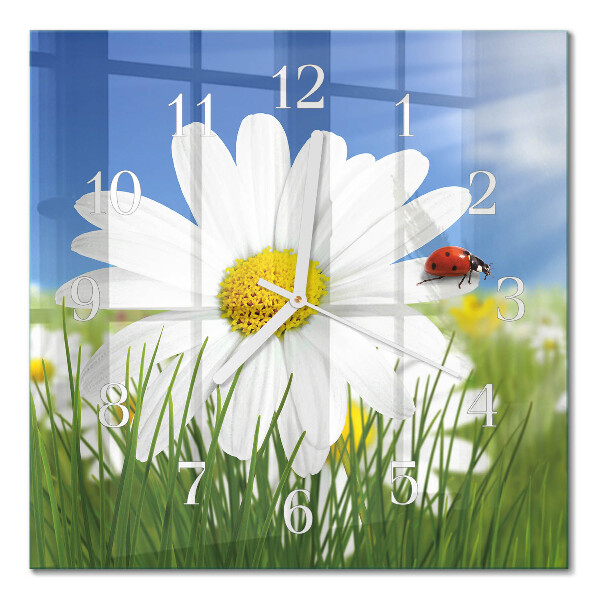 Moderne wanduhr quadratisch Die Blume und der Marienkäfer