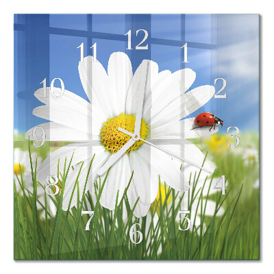 Moderne wanduhr quadratisch Die Blume und der Marienkäfer