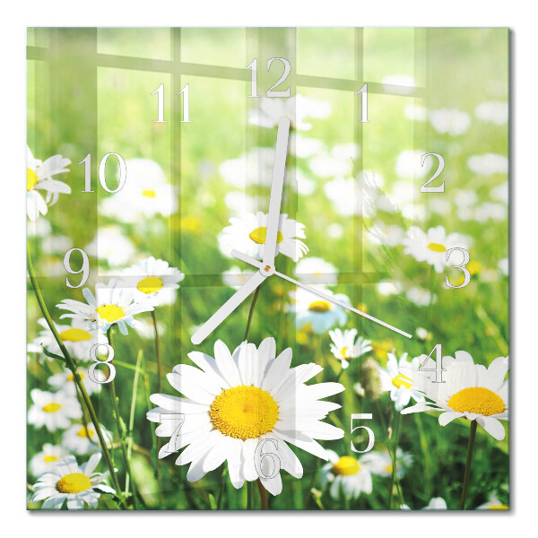 Quadratische wanduhr modern Gänseblümchen