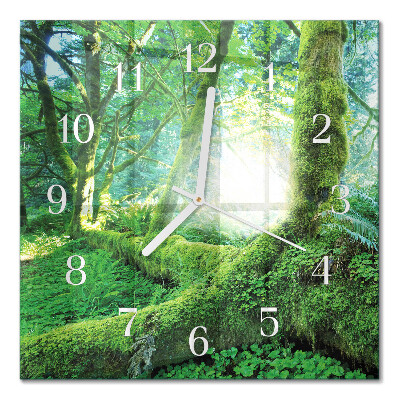 Moderne wanduhr quadratisch Waldmoos