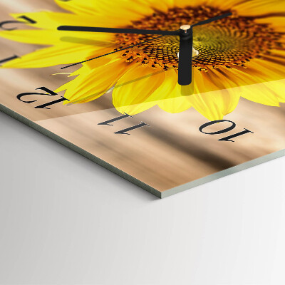 Wanduhr mit motiv quadratisch Sonnenblume