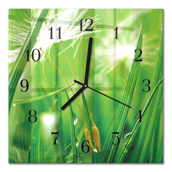 Moderne wanduhr quadratisch Gras