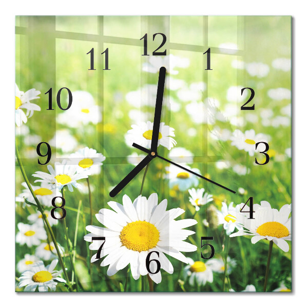 Wanduhr mit motiv quadratisch Gänseblümchen