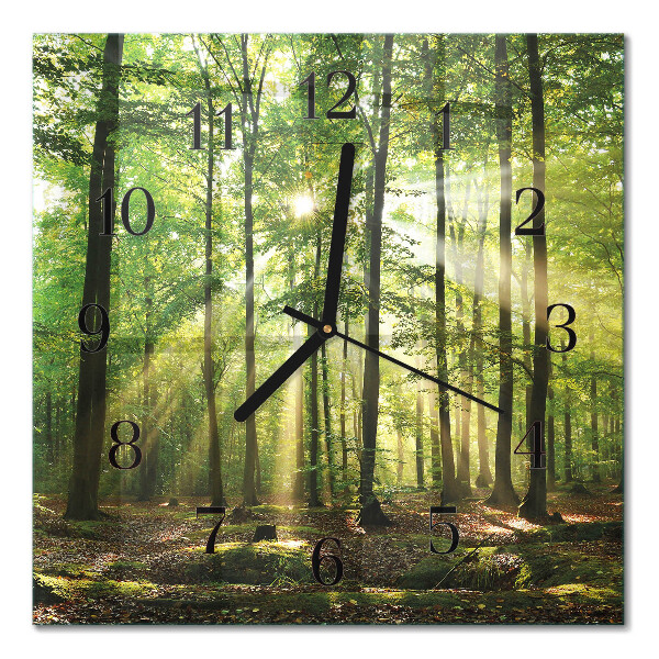 Quadratische wanduhr modern Waldnatur