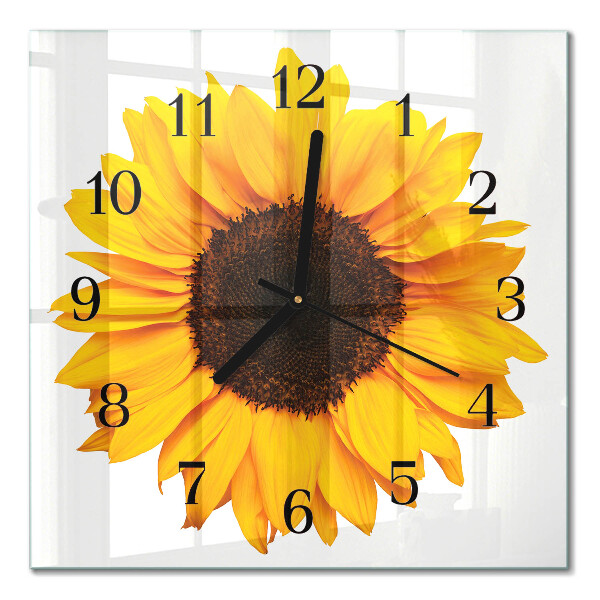 Quadratische wanduhr modern Sonnenblume