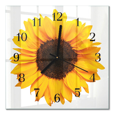 Quadratische wanduhr modern Sonnenblume