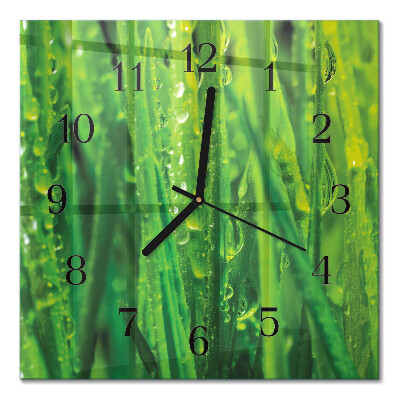 Quadratische wanduhr Gras