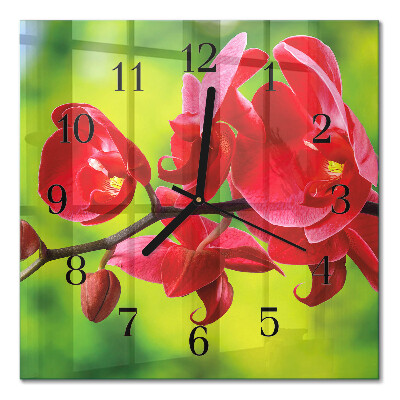Wanduhr mit motiv quadratisch Orchidee