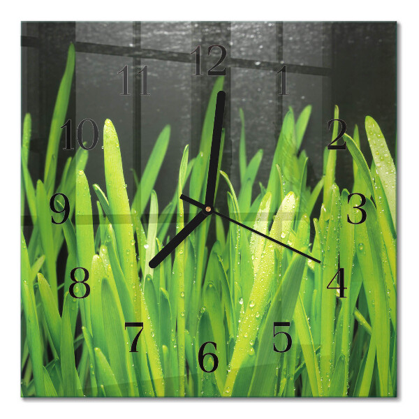 Wanduhr mit motiv quadratisch Gras