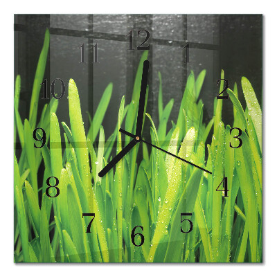 Wanduhr mit motiv quadratisch Gras
