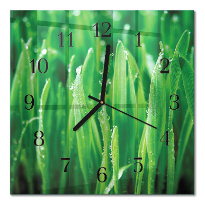 Quadratische wanduhr Grünes Gras