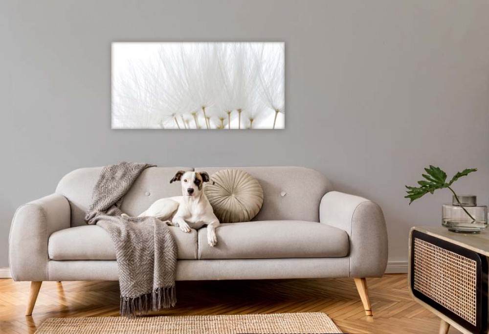 Innenfarbe des Jahres 2026