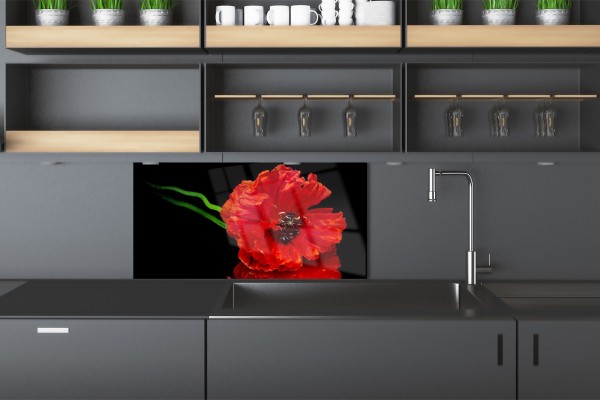 WEISSE ODER SCHWARZE KÜCHENPLATTE