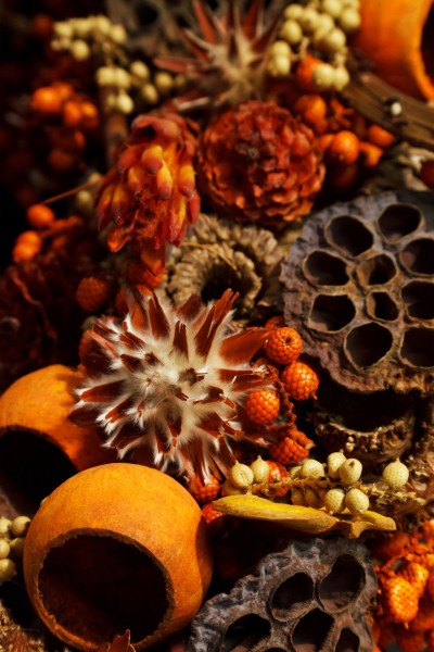 Herbstliche Wanddekorationen - Zeit für den Start in die neue Saison