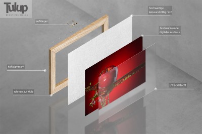 Visualisierung von Bildelementen auf Leinwand